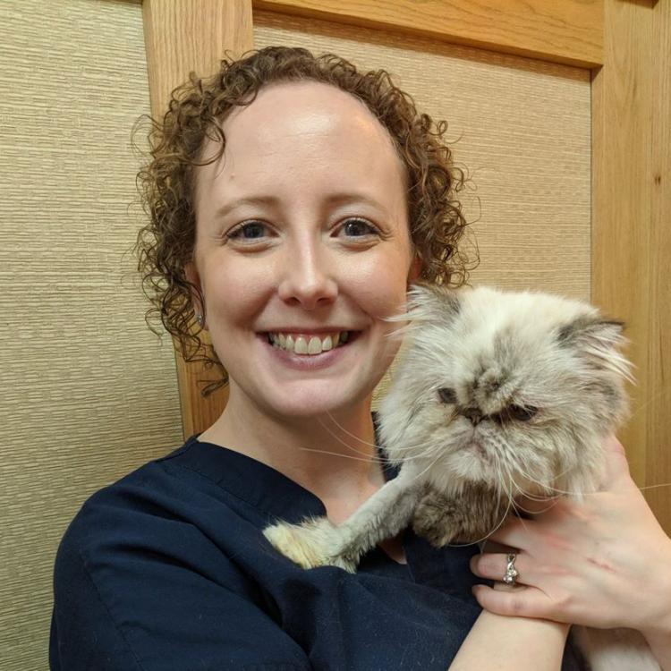 Stack Veterinary Hospital Syracuse, NY